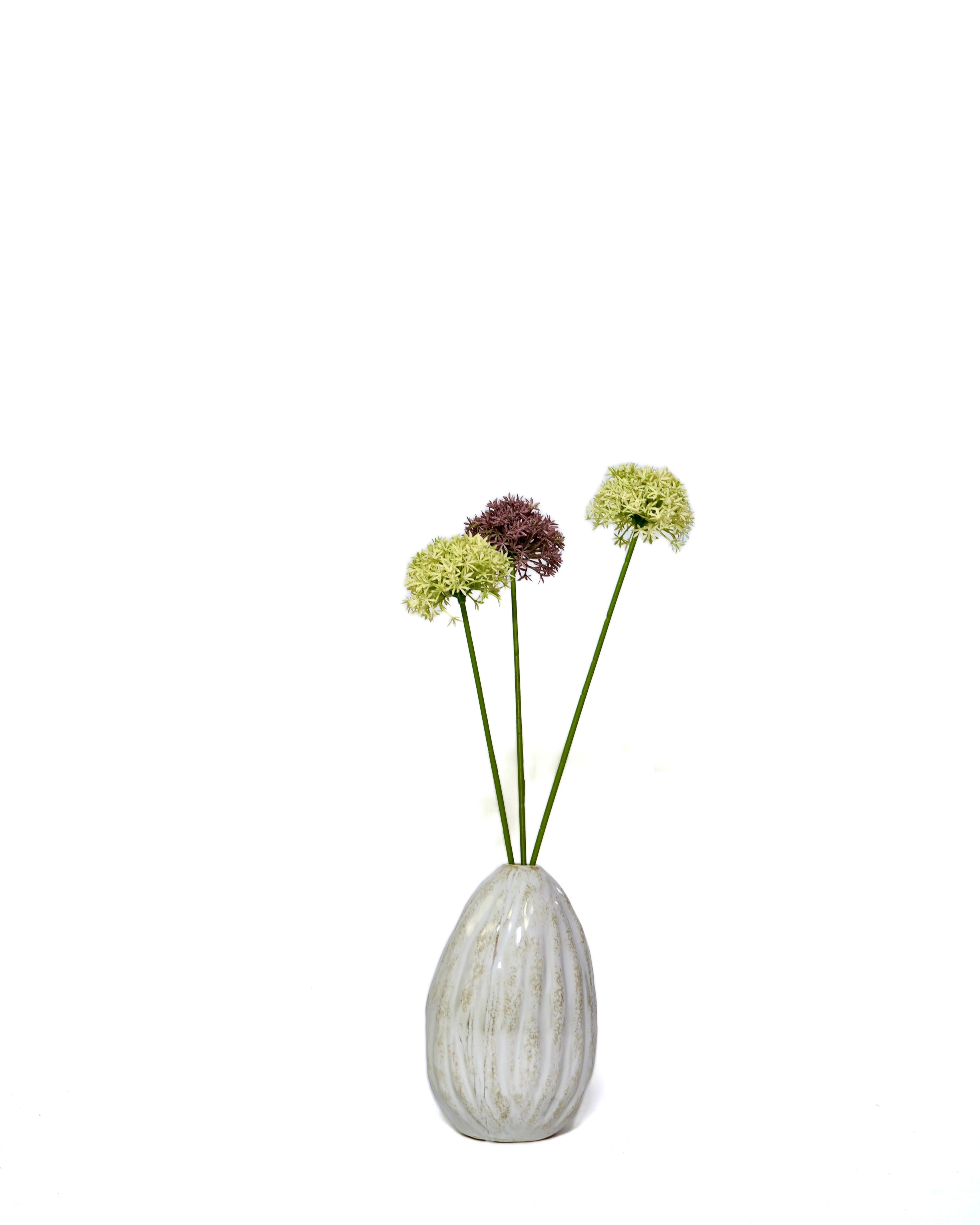 Allium set groen