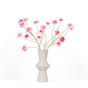 Bloemen set Zinnia