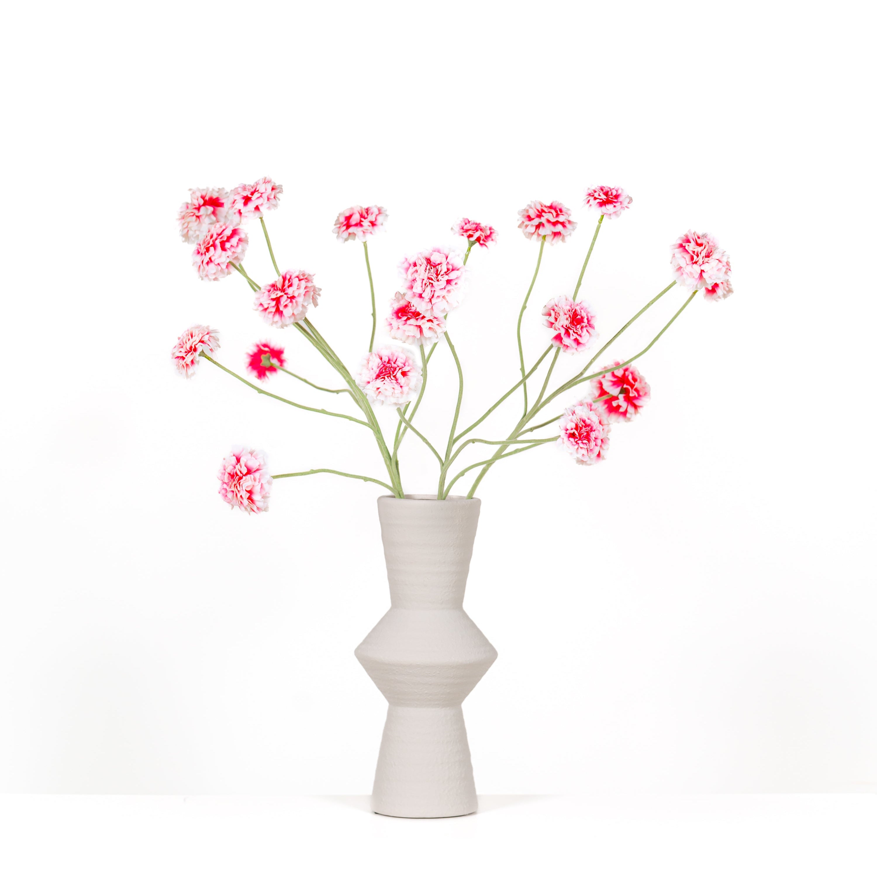 Bloemen set Zinnia