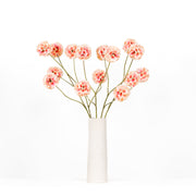Bloemen set Scabiosa
