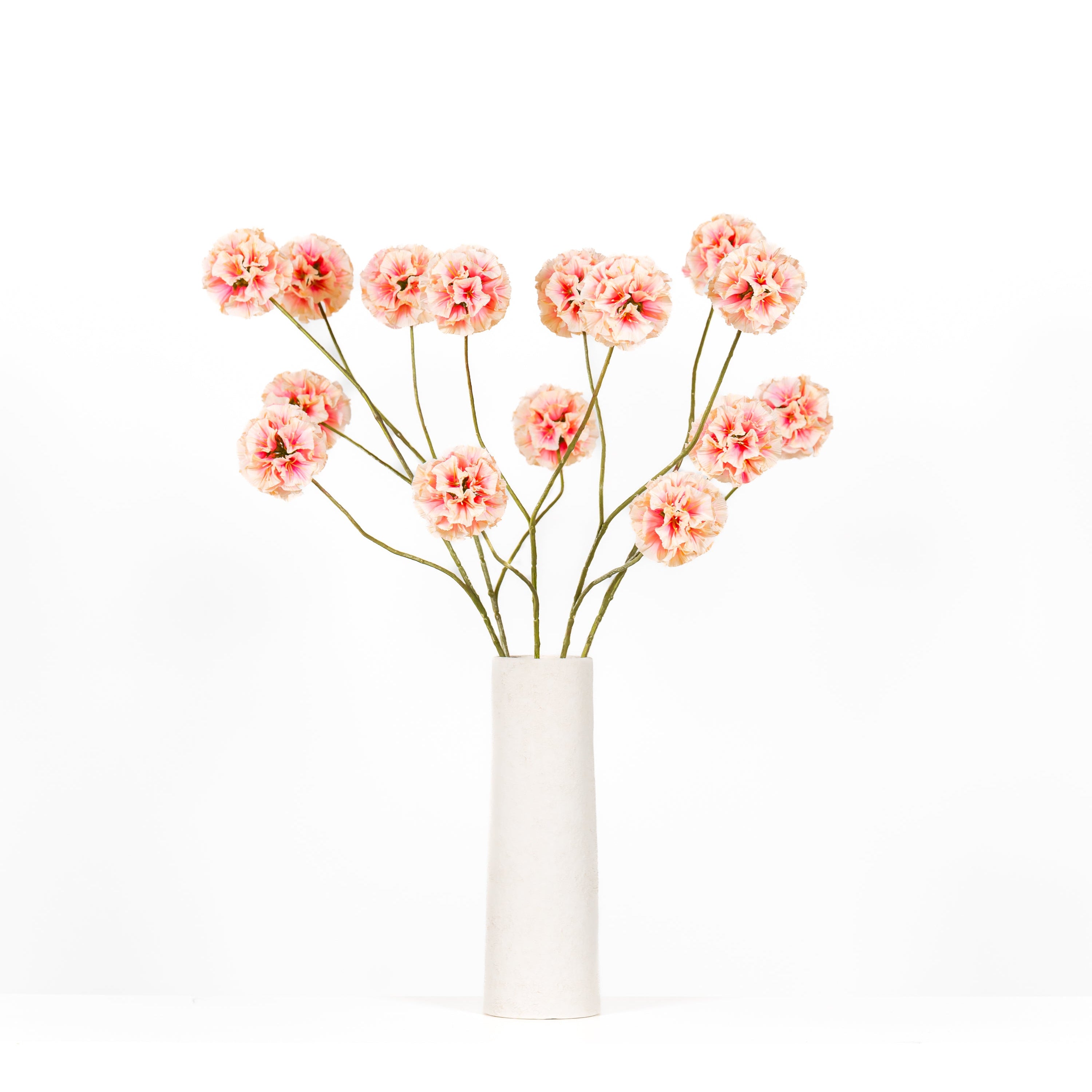 Bloemen set Scabiosa