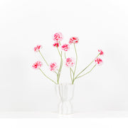 Set Zinnia