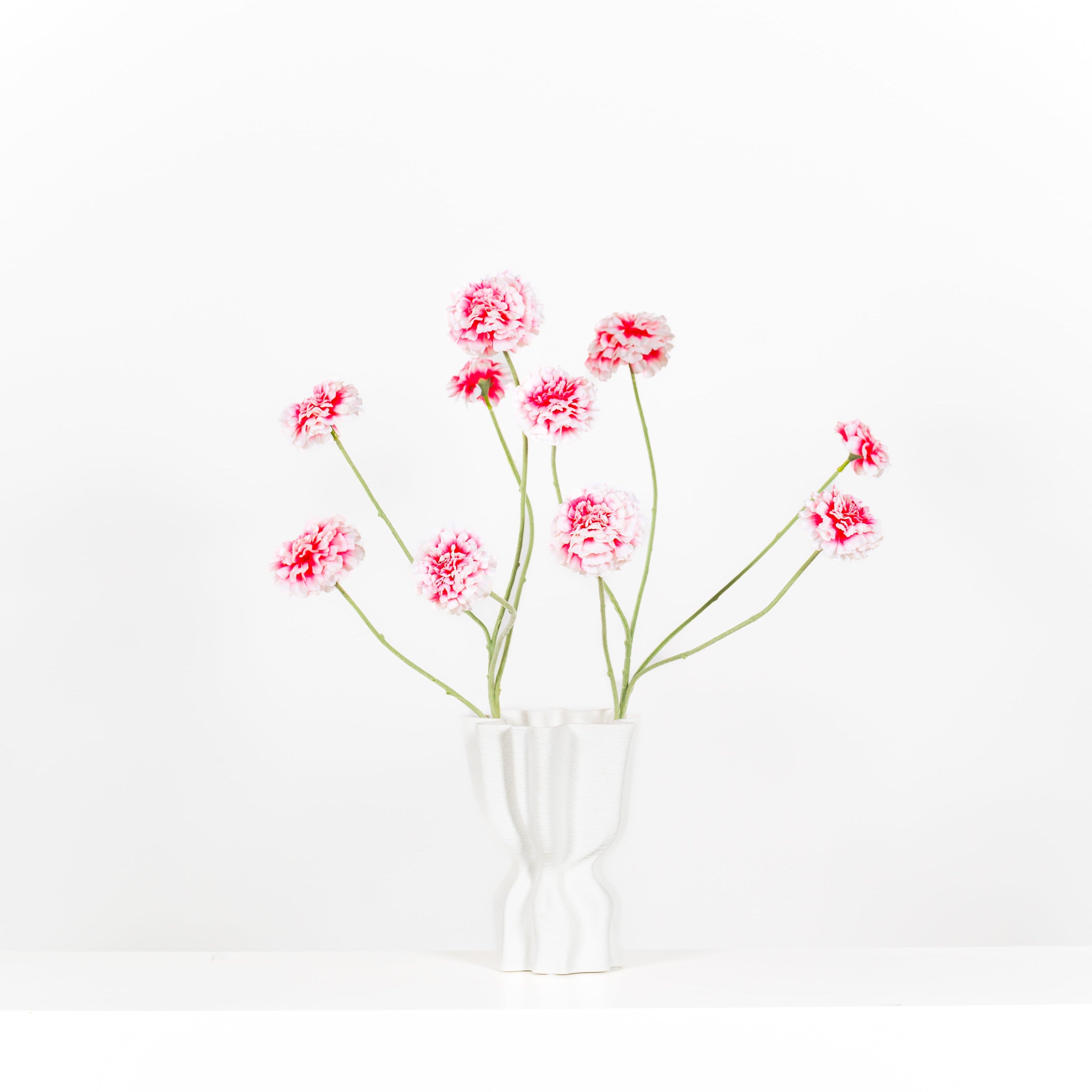 Set Zinnia