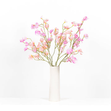 Lathyrus tak