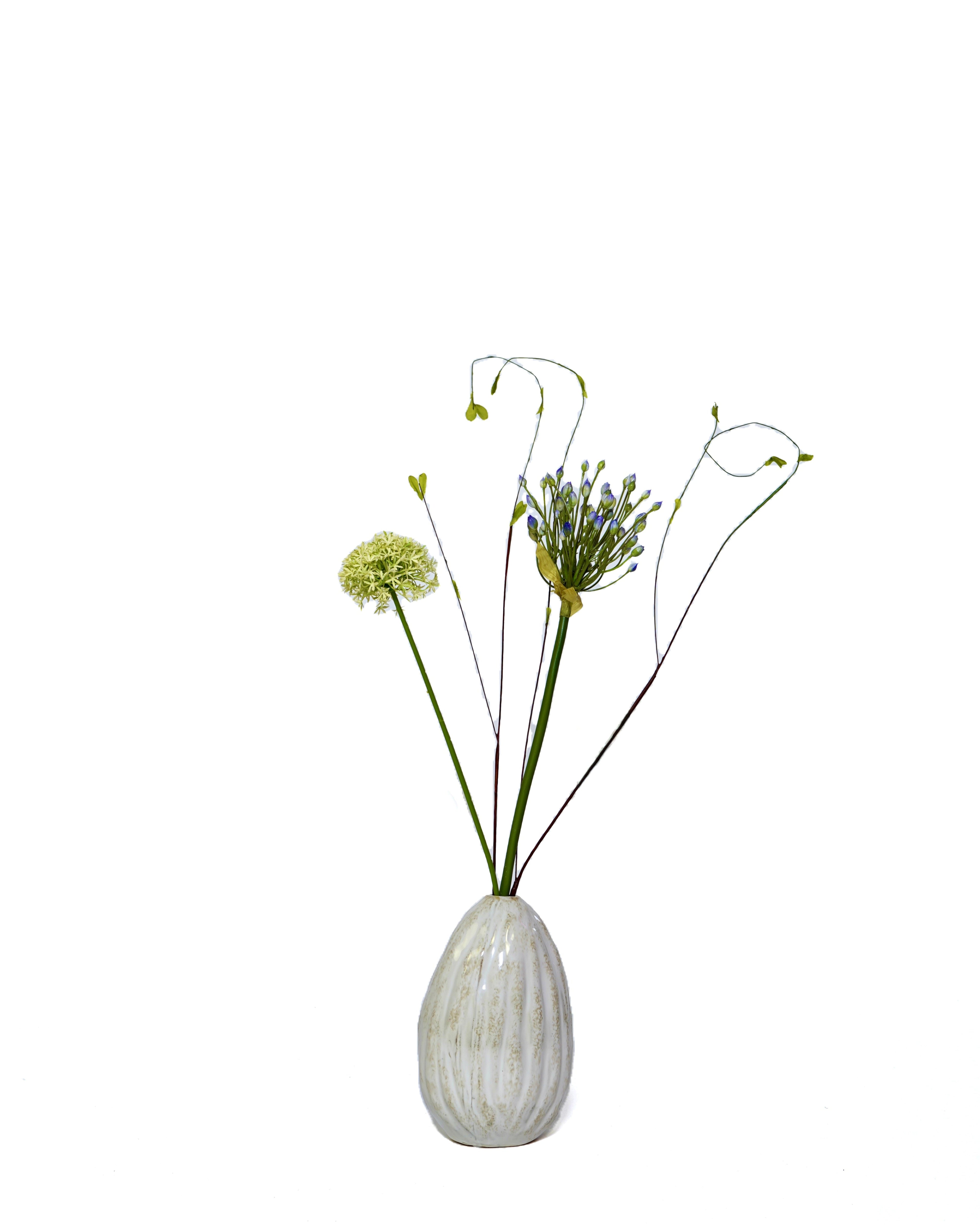 Allium buds