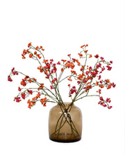 Euonymus tak