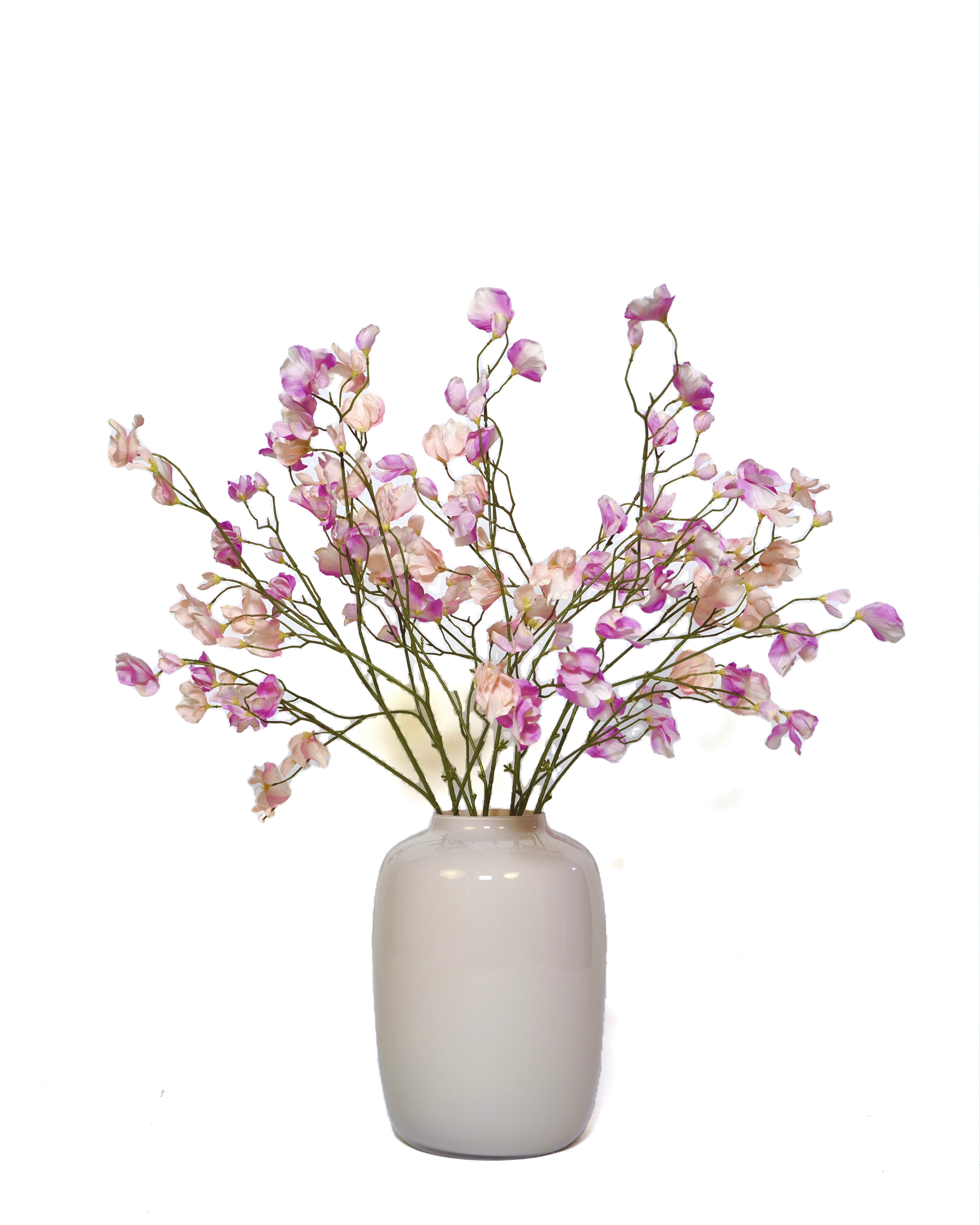 Lathyrus tak